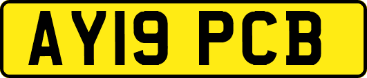 AY19PCB