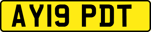 AY19PDT