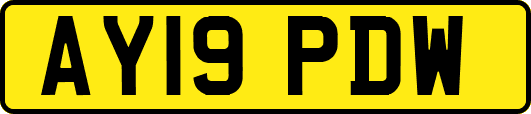 AY19PDW