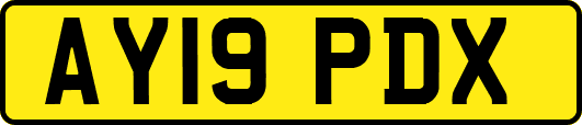 AY19PDX