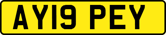 AY19PEY