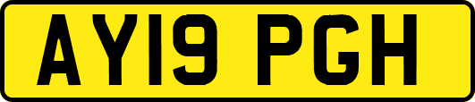 AY19PGH