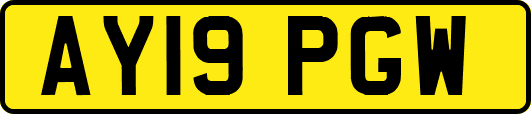 AY19PGW