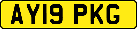 AY19PKG