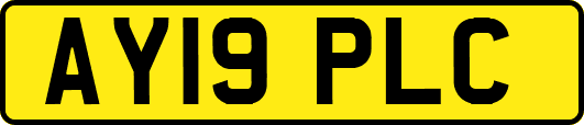 AY19PLC