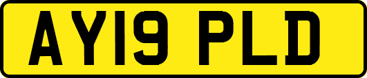 AY19PLD