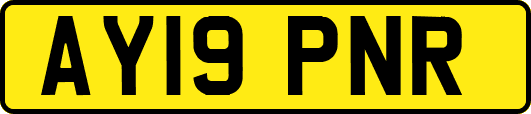 AY19PNR