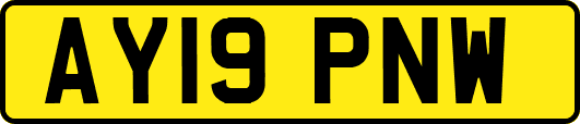 AY19PNW