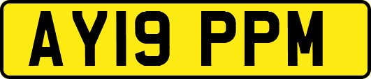 AY19PPM