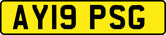 AY19PSG