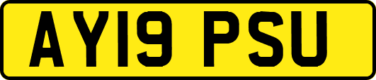 AY19PSU