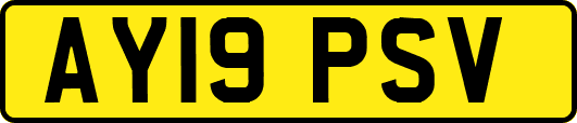 AY19PSV