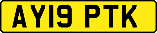 AY19PTK