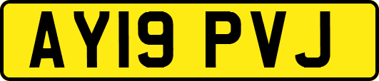 AY19PVJ