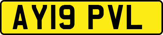 AY19PVL
