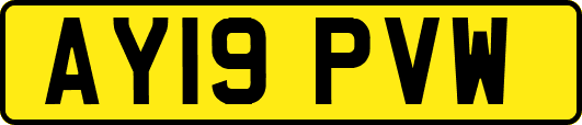 AY19PVW