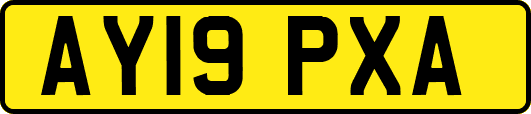 AY19PXA