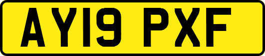 AY19PXF