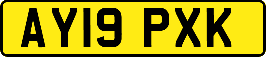 AY19PXK