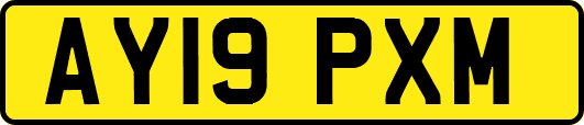 AY19PXM