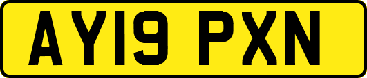 AY19PXN