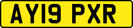 AY19PXR