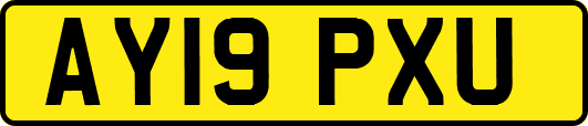 AY19PXU