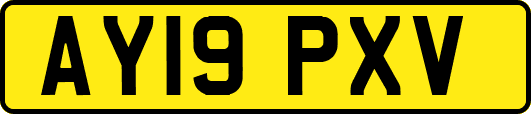 AY19PXV