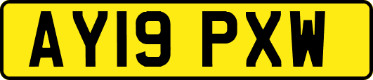 AY19PXW