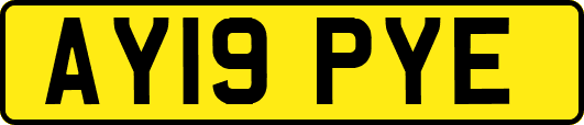 AY19PYE