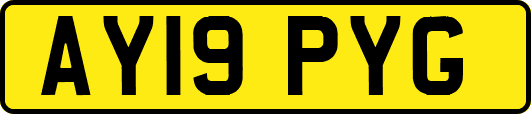 AY19PYG