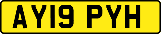AY19PYH