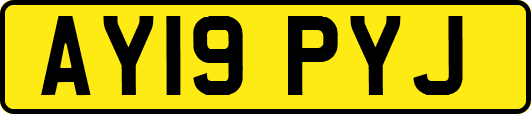 AY19PYJ