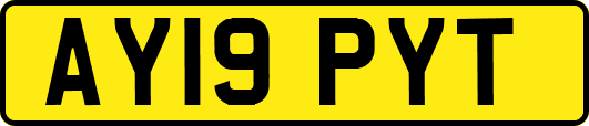 AY19PYT