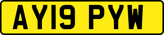 AY19PYW