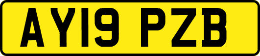 AY19PZB