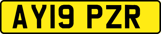 AY19PZR