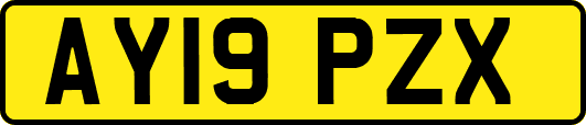 AY19PZX