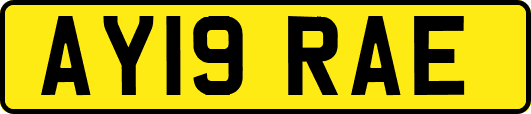 AY19RAE