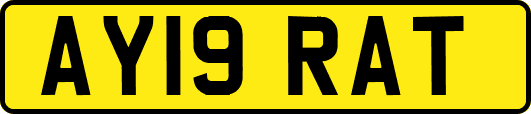AY19RAT