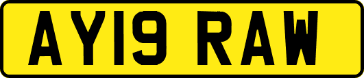 AY19RAW