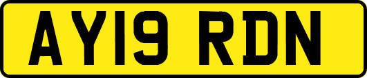 AY19RDN