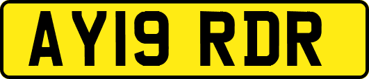 AY19RDR