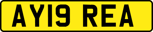 AY19REA
