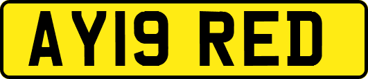 AY19RED