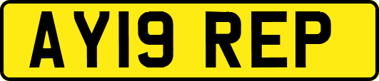 AY19REP