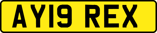 AY19REX