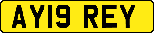 AY19REY