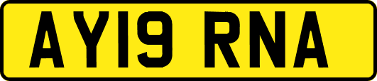 AY19RNA