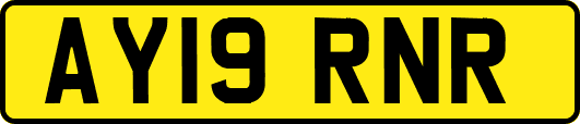 AY19RNR